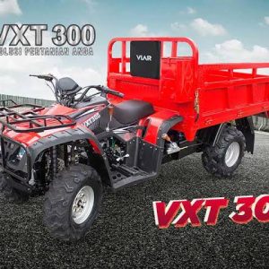 VXT 300