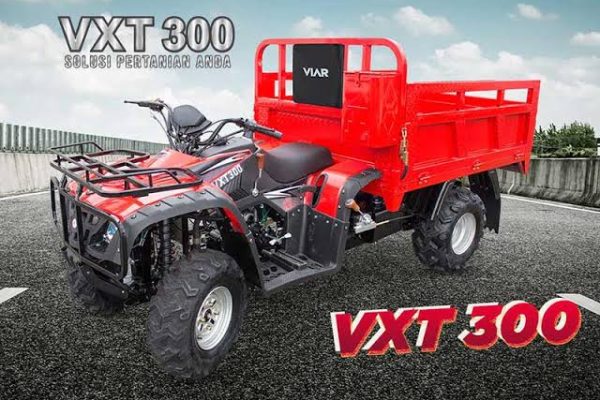 VXT 300
